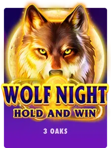 McLuck Casino Slots 4